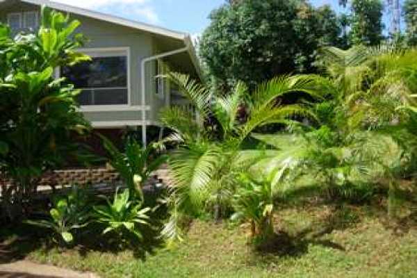 4440 Hookui Road Kilauea, HI 96754 - Photo 7 of 7 Gallery Image 7