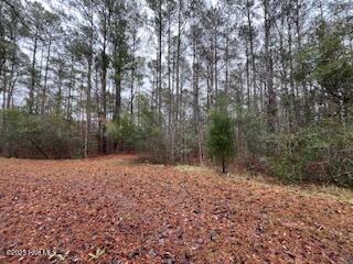 0 Dogwood Landing Road Merritt, NC 28556 - Photo 10 of 13 IMG_7713