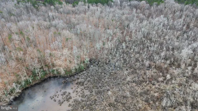 a view of a dry yard with trees