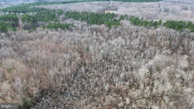 a view of a dry yard with trees