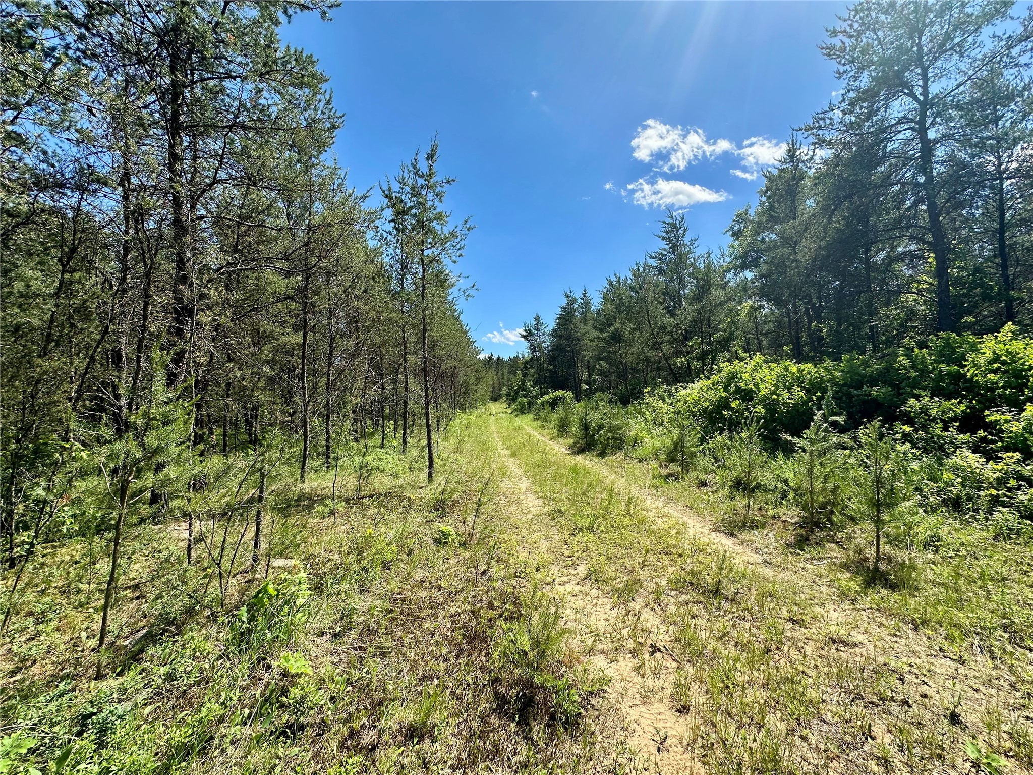 E20244 Cty Road Augusta, WI 54722 - Photo 10 of 27