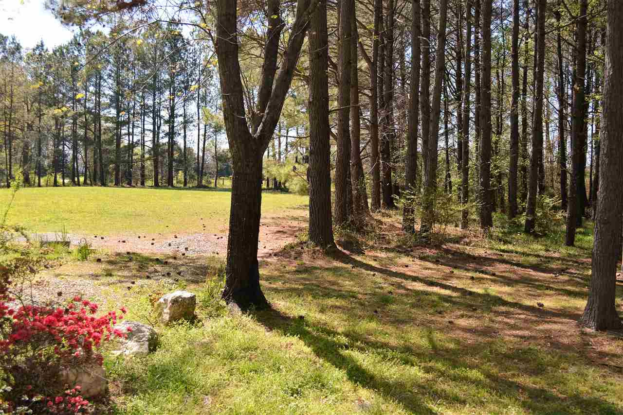 3956 Silk Hope Gum Spring Road Pittsboro, NC 27312 - Photo 15 of 25 Photo 15