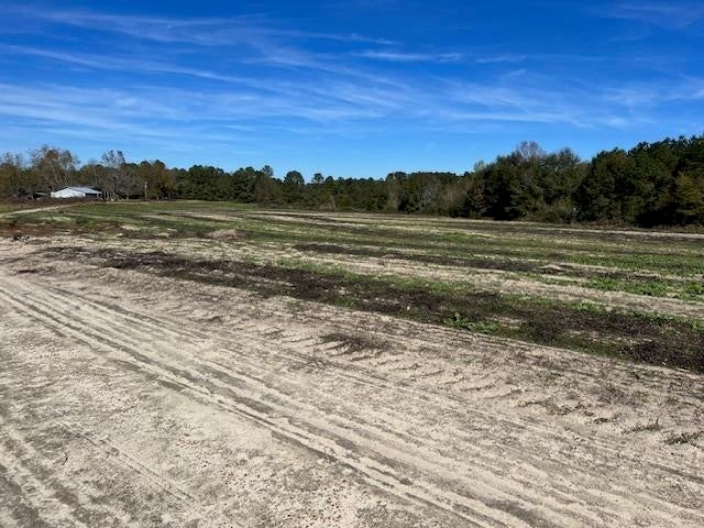 26230 Hub Brown Road Opp, AL 36467 - Photo 15 of 27 Gallery Image 15