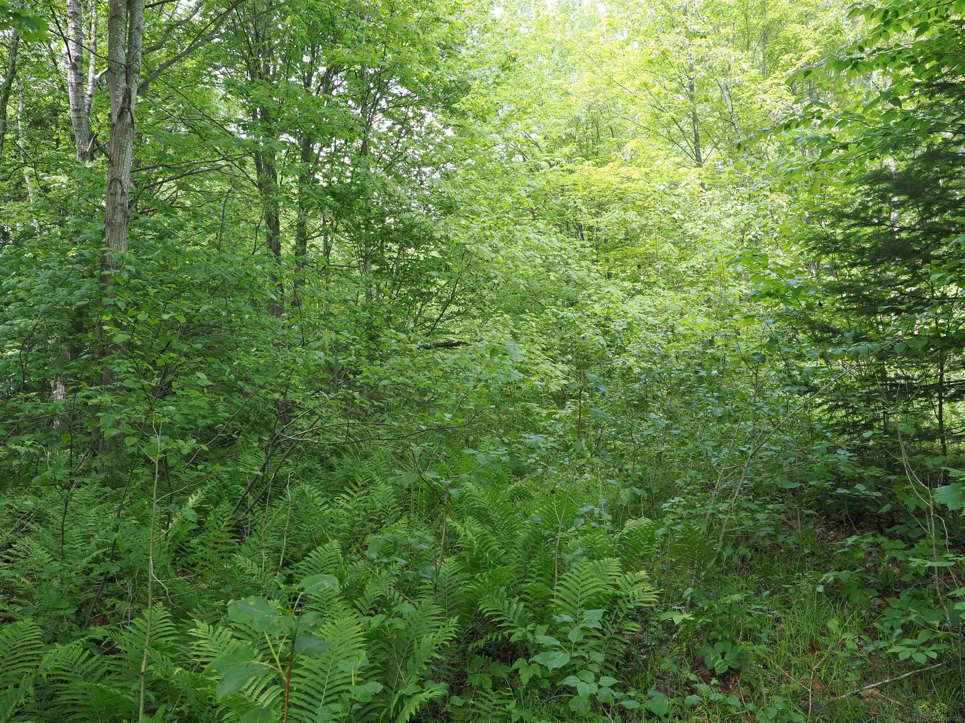 5 West 5 Mile Road Sault Ste. Marie, MI 49783 - Photo 27 of 30