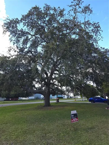a view of tree and outdoor space