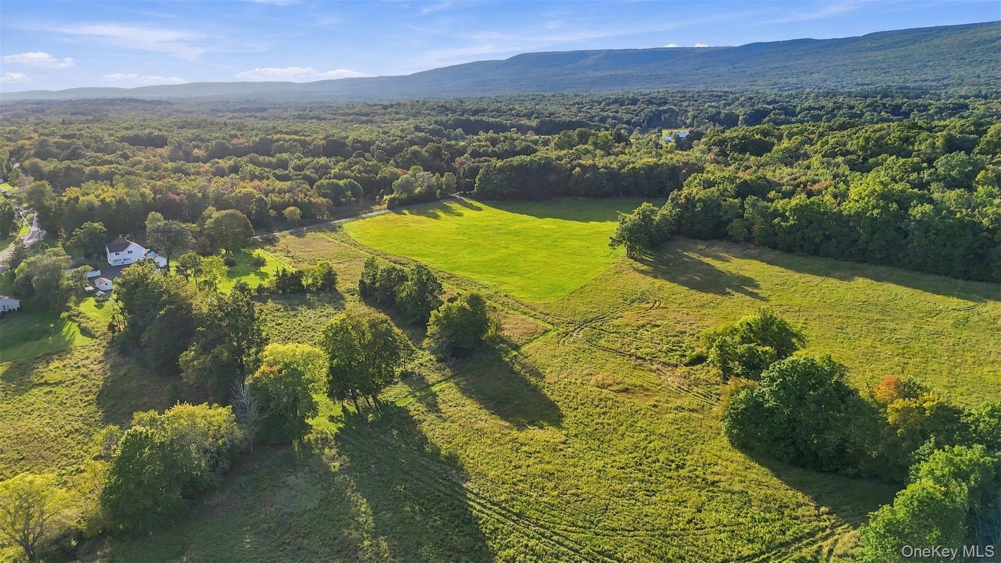 4 Low Road Wallkill, NY 12589 - Photo 7 of 49 spectacular views!