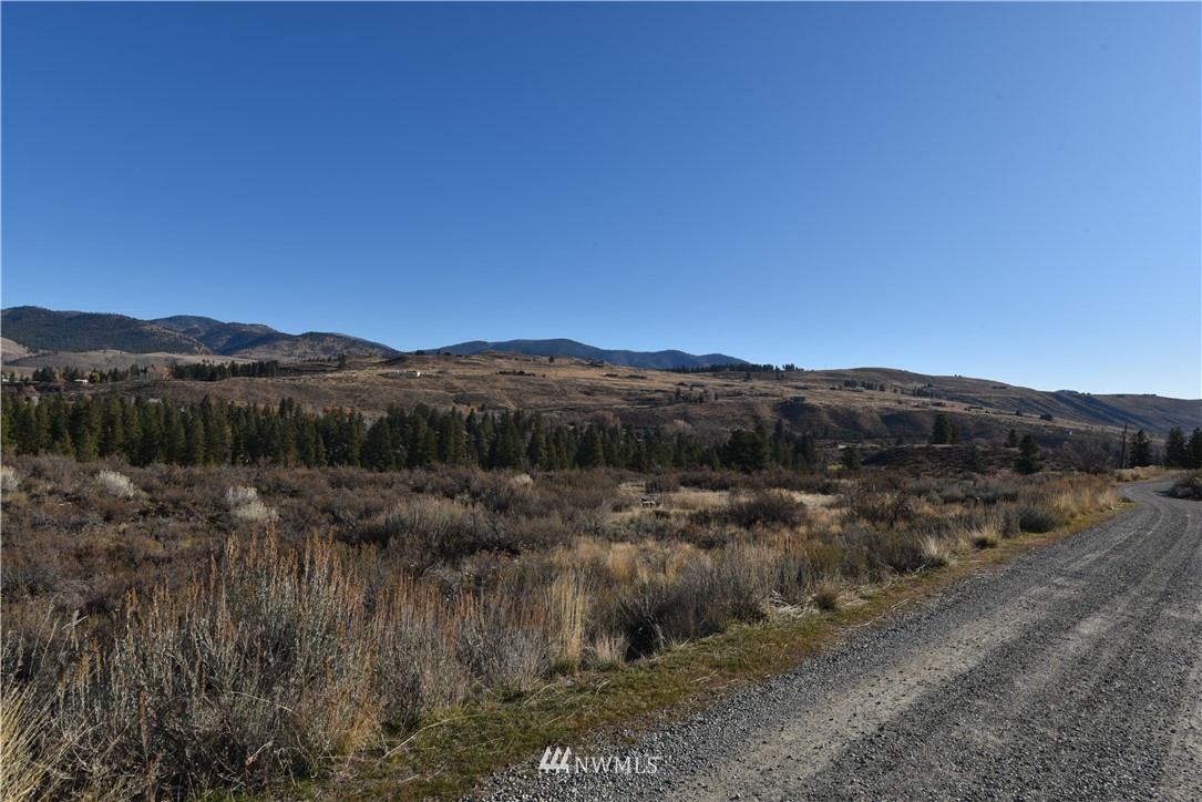 25 Windsong Road Winthrop, WA 98862 - Photo 23 of 25 Gallery Image 23