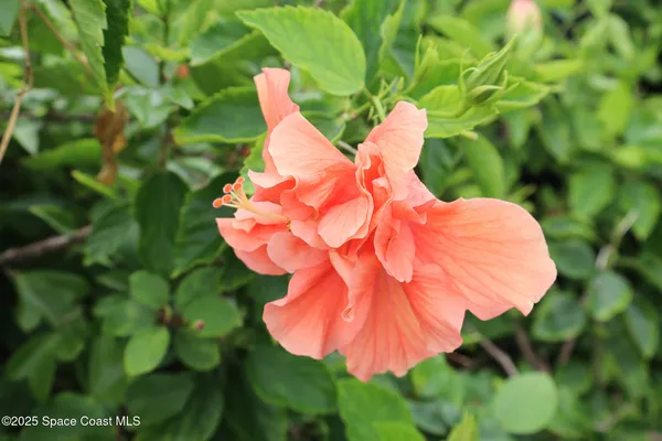 $539,900 | 115 Aquarina Boulevard, Melbourne Beach, FL 32951