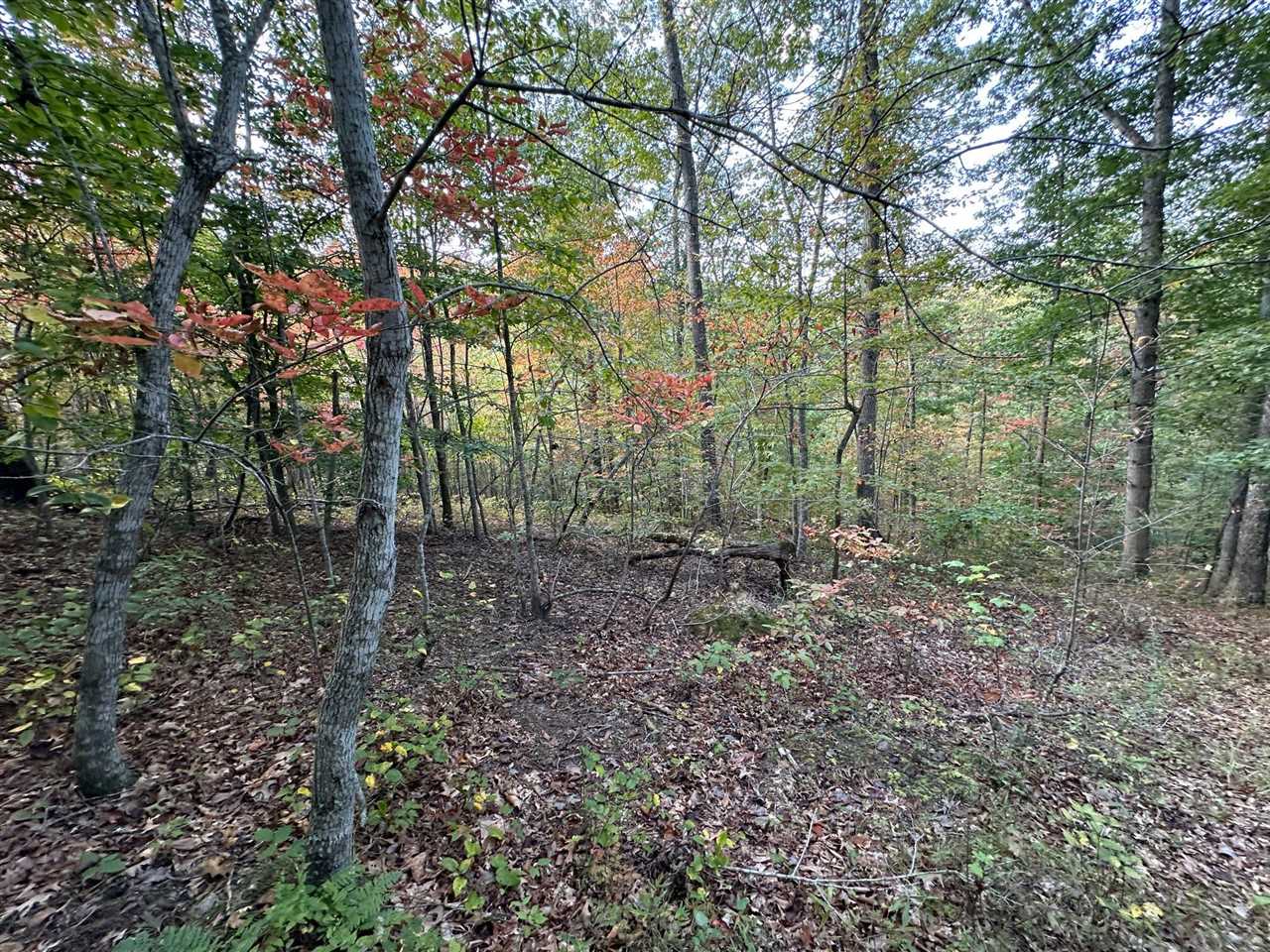 18 A Hall Road Grayson, KY 41143 - Photo 69 of 77 Gallery Image 69