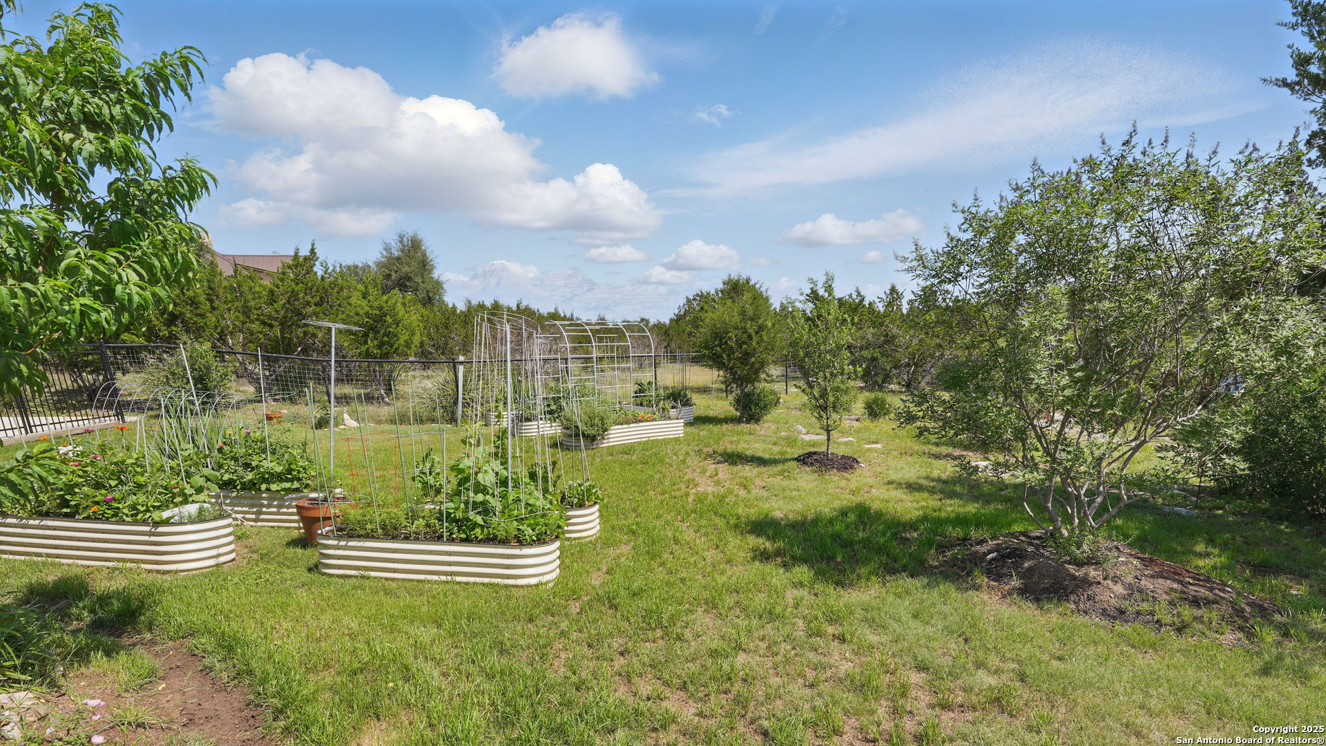 191 Crane Circle Spring Branch, TX 78070 - Photo 38 of 59 a view of an outdoor space and yard