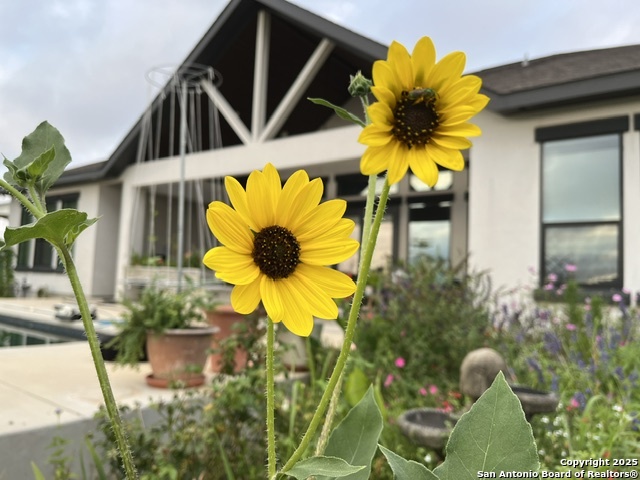191 Crane Circle Spring Branch, TX 78070 - Photo 56 of 59 a bathroom with a sink mirror and vanity