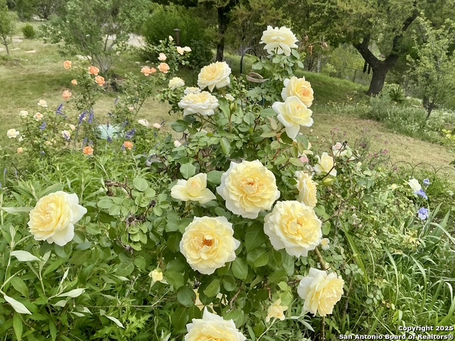 191 Crane Circle Spring Branch, TX 78070 - Photo 57 of 59 a bathroom with a sink and mirror