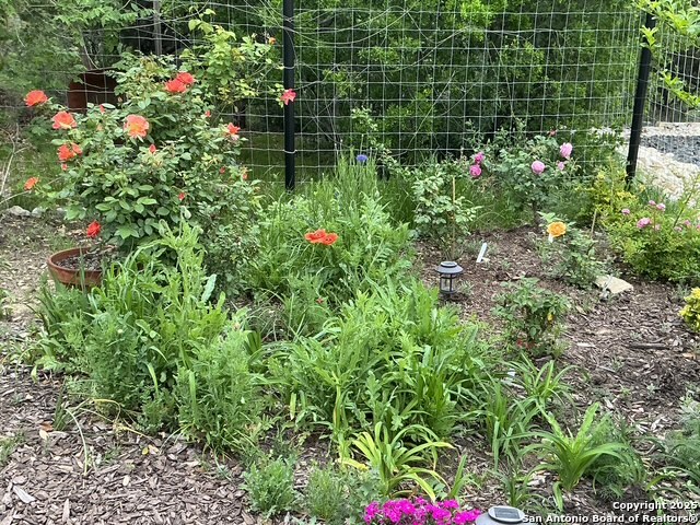 191 Crane Circle Spring Branch, TX 78070 - Photo 58 of 59