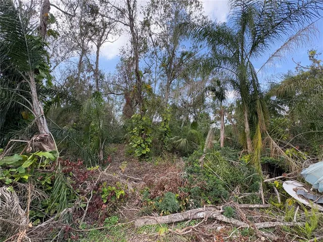 a bathroom with a toilet and a bathtub