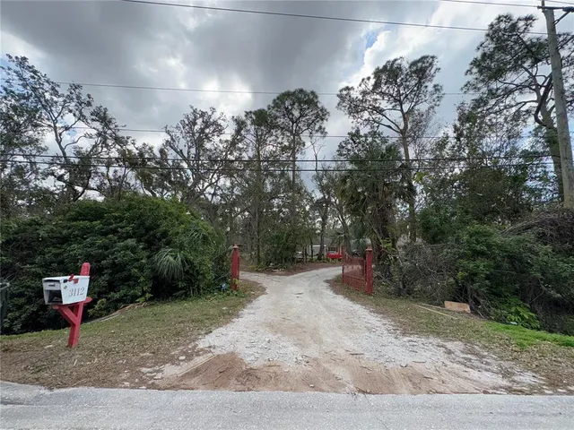 a view of a yard with an trees and plants