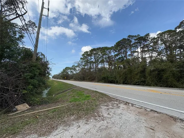 a view of a forest with trees