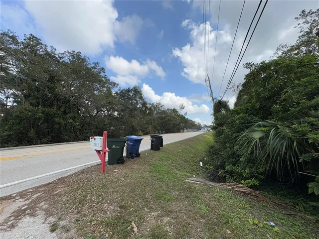a view of a park with large trees