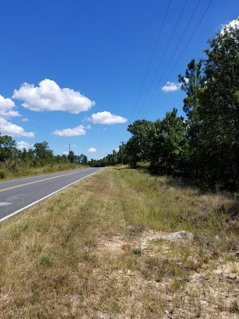Lot 11 Colbert Bridge Road Windsor, SC 29856 - Photo 4 of 6