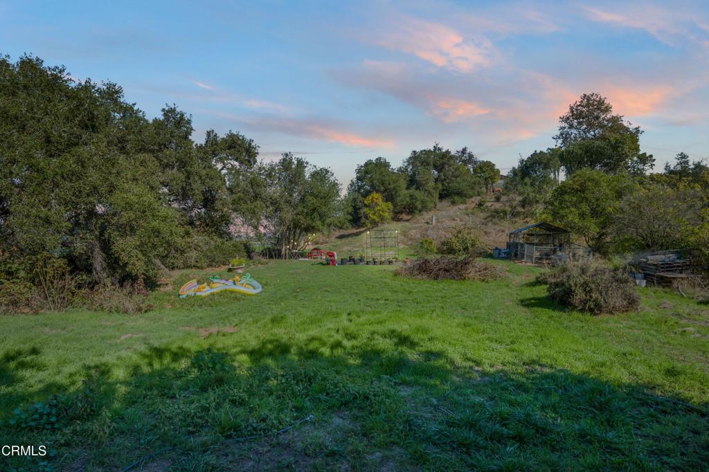 20176 South Mountain Road Santa Paula, CA 93060 - Photo 30 of 43 a big yard with lots of green space and deers