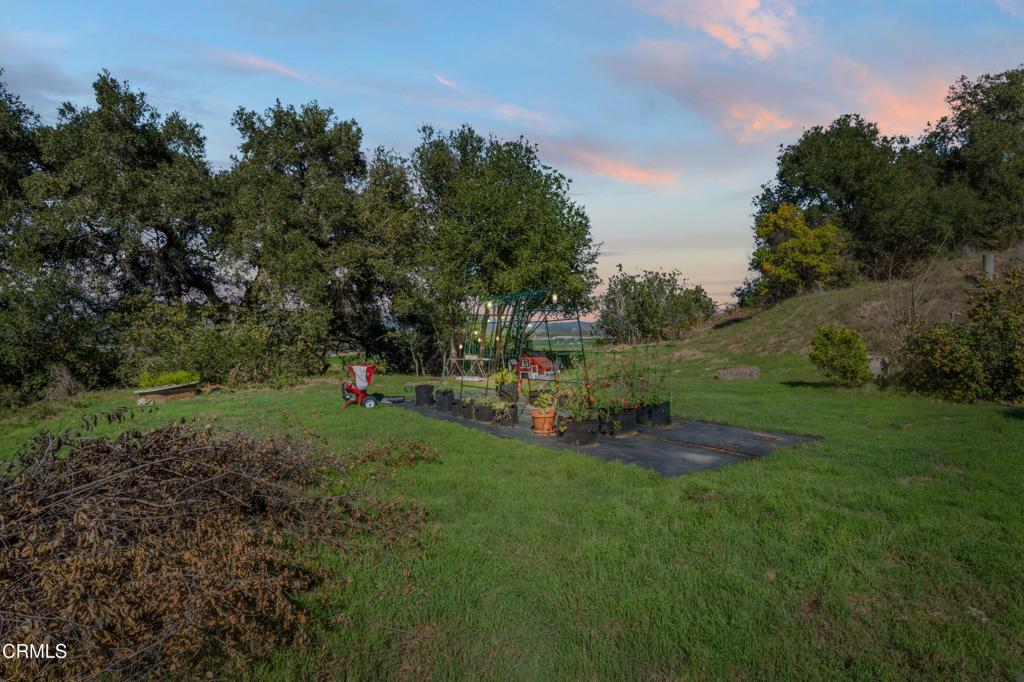 20176 South Mountain Road Santa Paula, CA 93060 - Photo 32 of 43 a view of a park with large trees