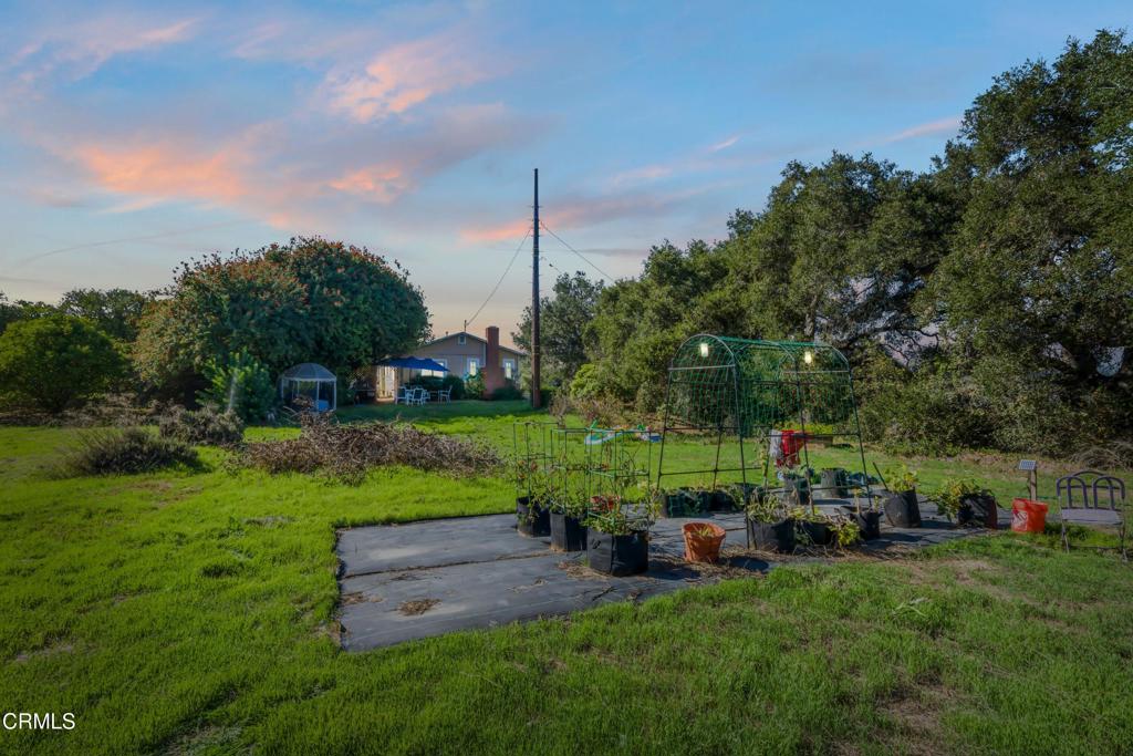 20176 South Mountain Road Santa Paula, CA 93060 - Photo 33 of 43 a view of a garden with houses