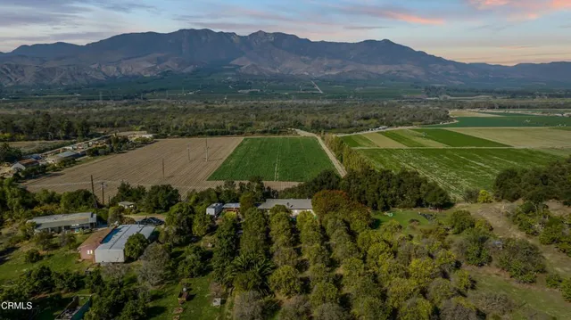 a view of backyard with green space