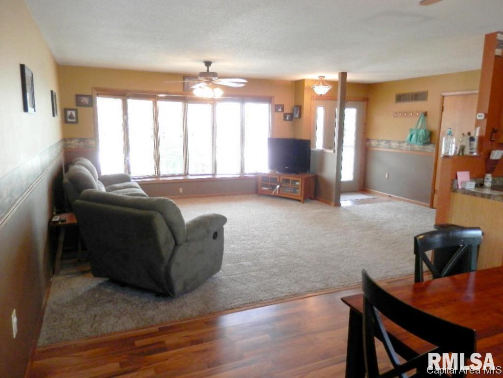 109 E Centre Rio, IL 61472 - Photo 11 of 35 Gallery Image 11