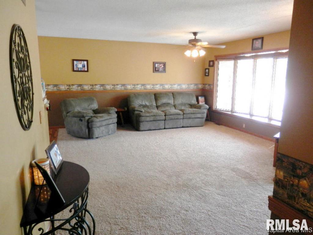 109 E Centre Rio, IL 61472 - Photo 10 of 35 Gallery Image 10