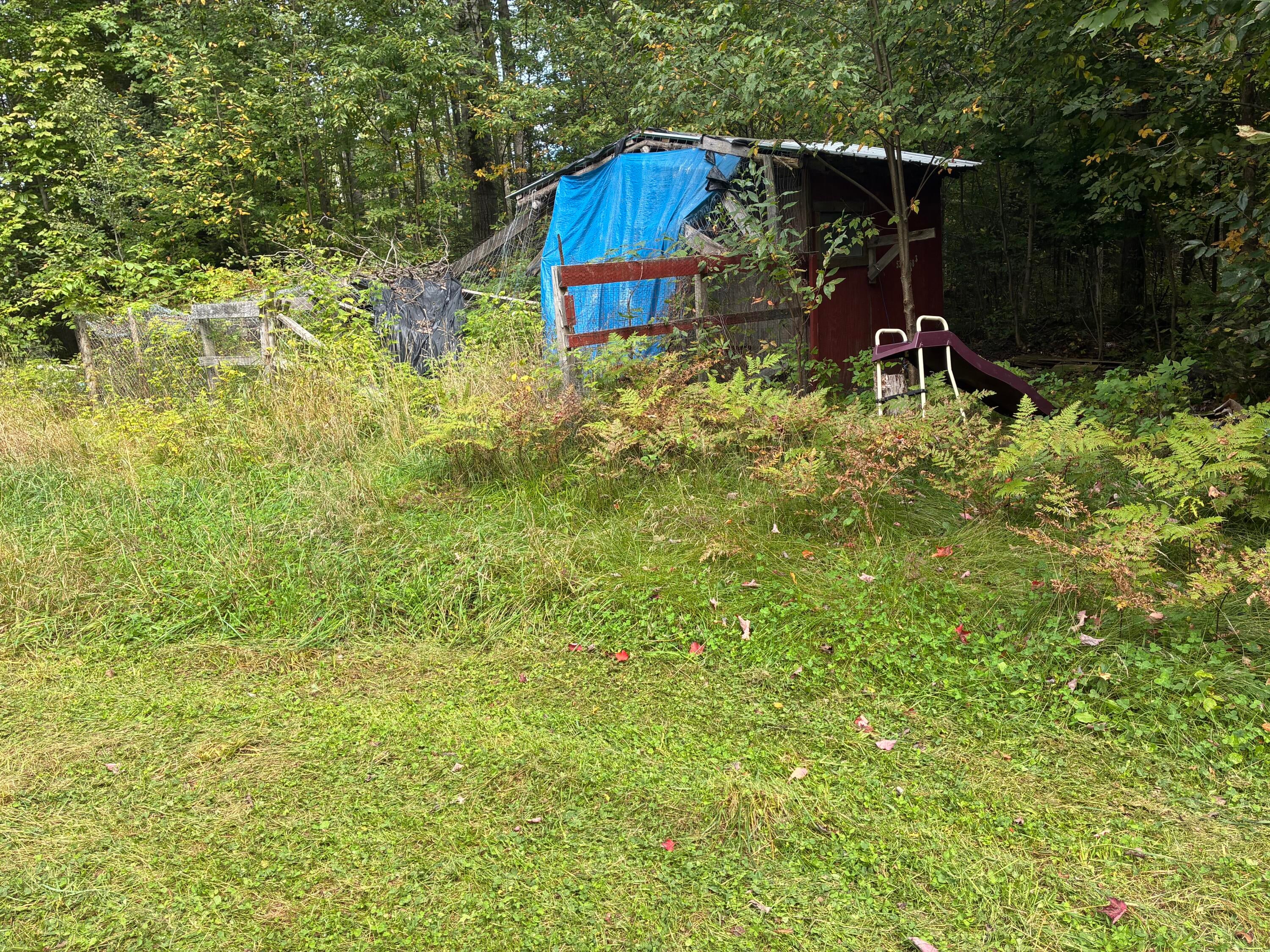11449 Bilder Road Wolverine, MI 49799 - Photo 53 of 68 Gallery Image 53