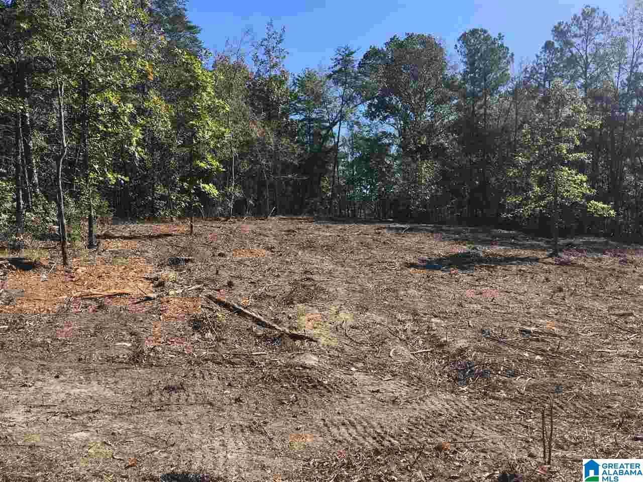 9150 Sunview Road, Unit 12 Warrior, AL 35180 - Photo 3 of 6