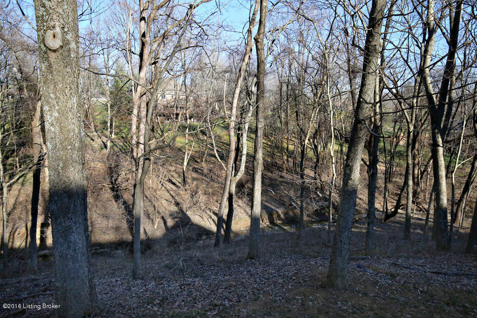 1005 Devon Road Goshen, KY 40026 - Photo 22 of 55 View of the woods & small creek behind this home which joins the back yards of other large tract homes (all over 1 ac).