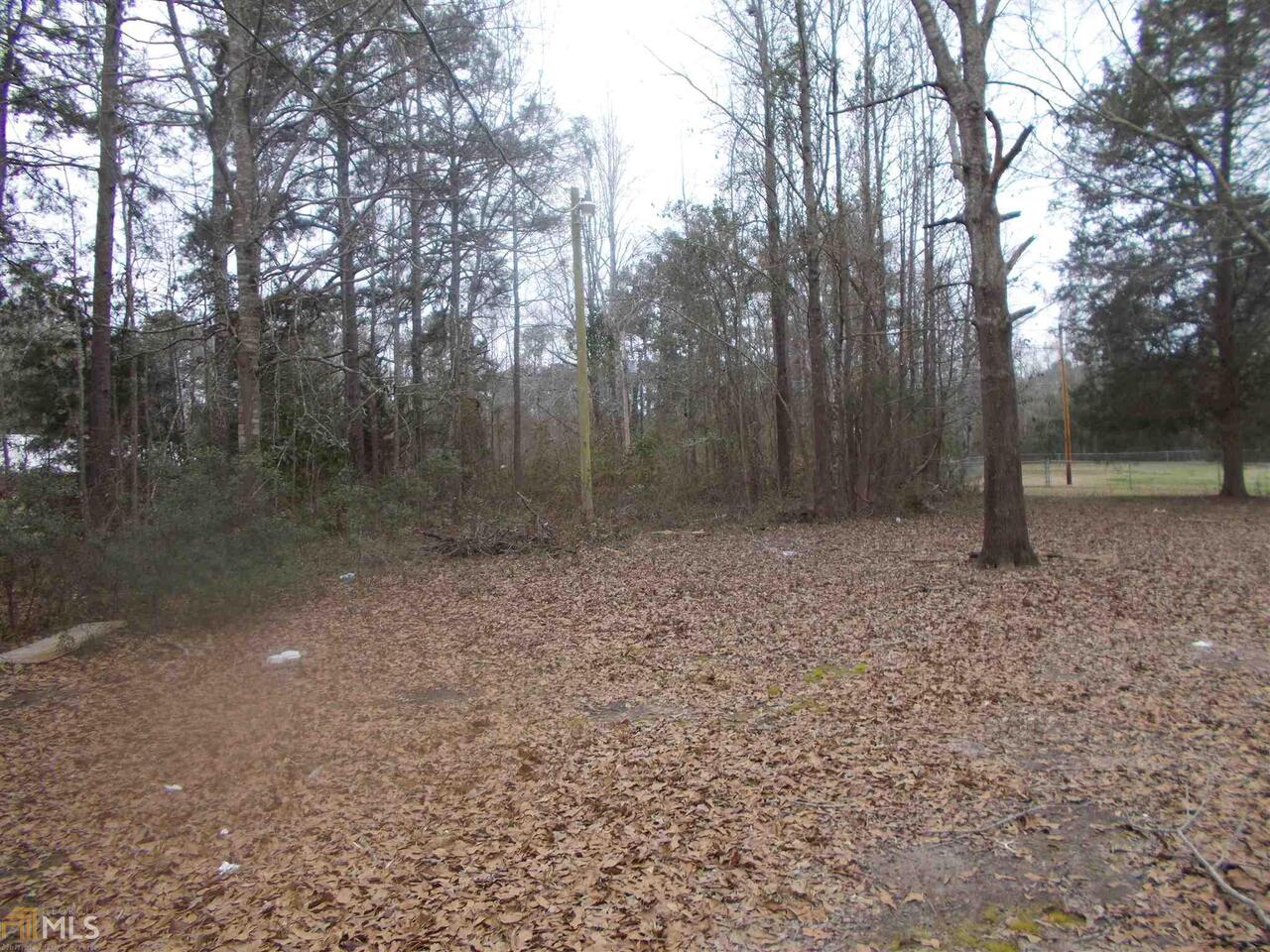 1290 County Rd 519 Valley, AL 36854 - Photo 1 of 1 a view of a forest with trees in the background