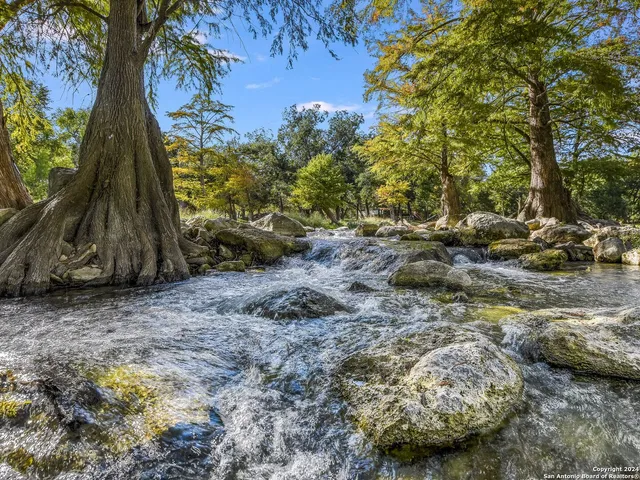 a view of a lake with some trees