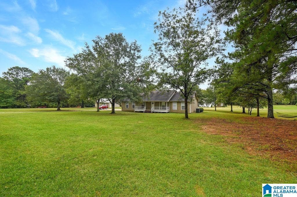 181 Dyer Road Harpersville, AL 35078 - Photo 5 of 37