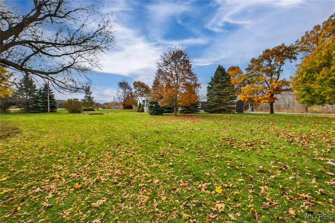 13676 Bloomingdale Road Newstead, NY 14001 - Photo 32 of 39 Beautiful, park-like backyard.