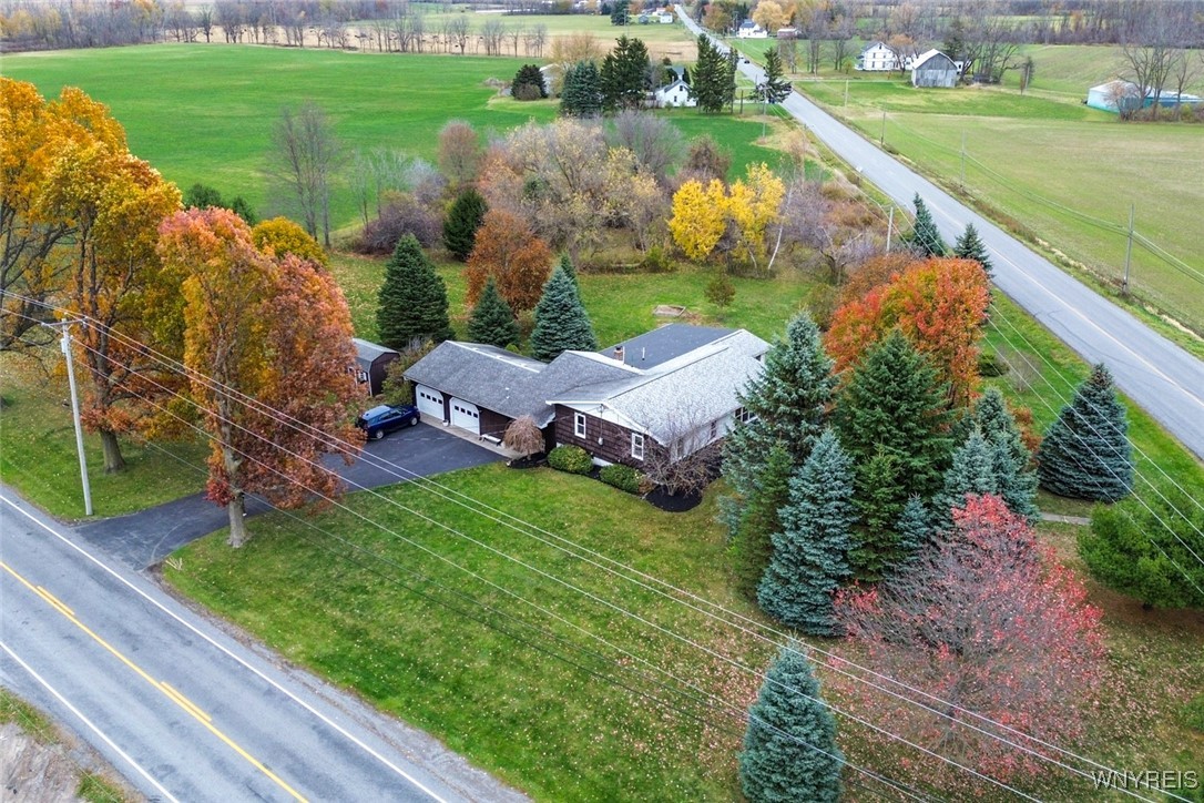 13676 Bloomingdale Road Newstead, NY 14001 - Photo 34 of 39 Beautiful, mature trees offer some lovely privacy