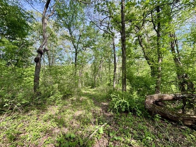 50792 Haney Valley Road Gays Mills, WI 54631 - Photo 16 of 39