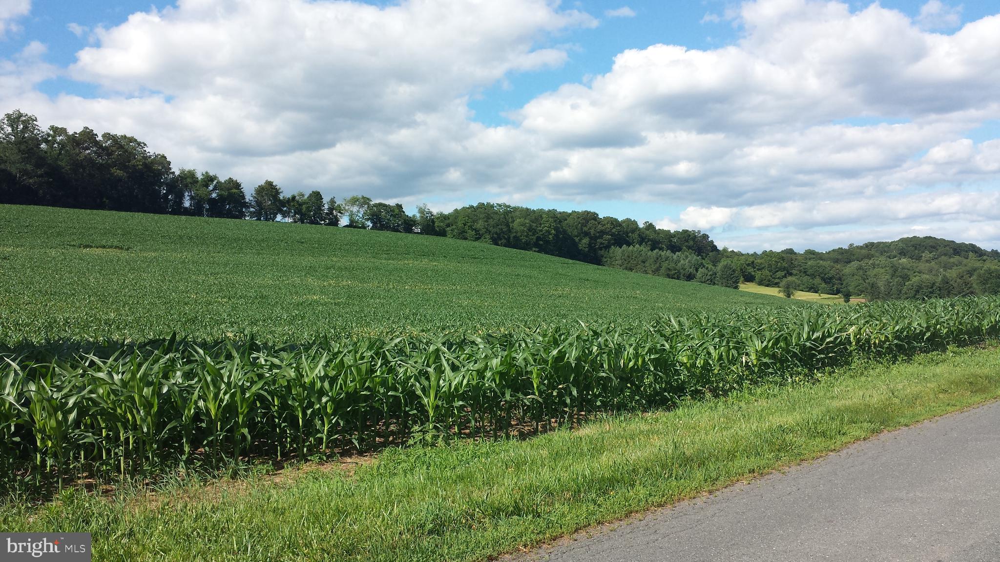 0 Matamoras Road Halifax, PA 17032 - Photo 2 of 8