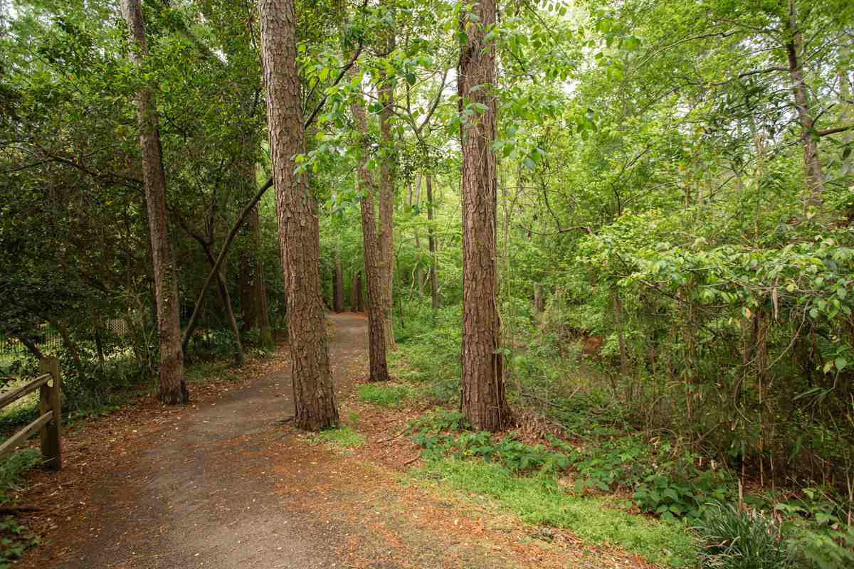 5752 Forest Lawn Court Raleigh, NC 27612 - Photo 27 of 27 Photo 30
