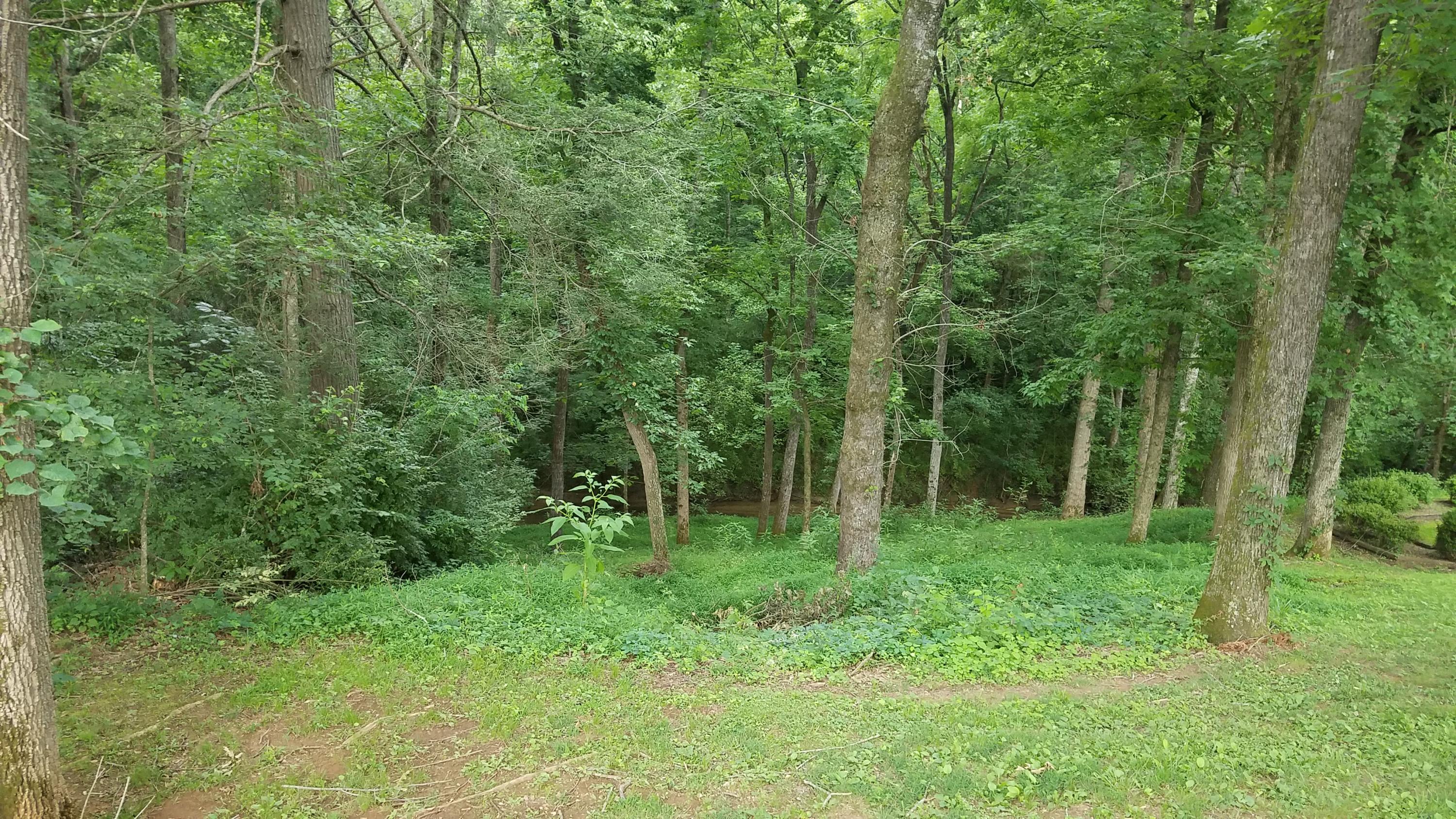 1309 Golf Course Road Newport, TN 37821 - Photo 4 of 25 20170621_172725