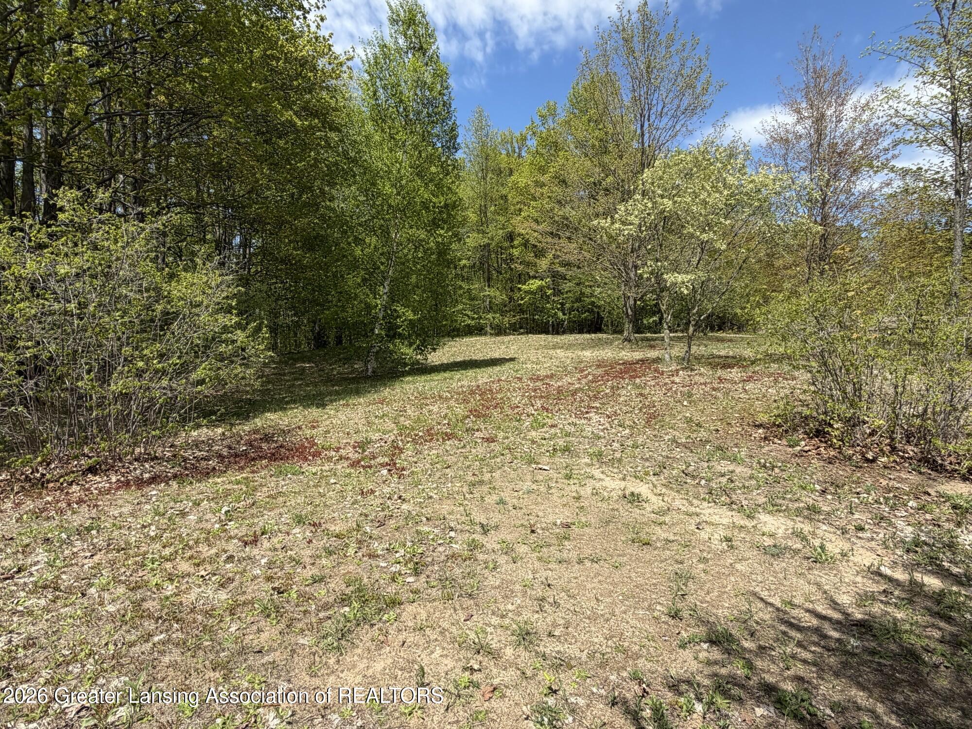 359 Pontius Road Southeast Kalkaska, MI 49646 - Photo 10 of 10 IMG_0504