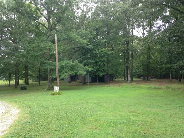 4618 Marion Road Cunningham, TN 37052 - Photo 14 of 16 Beautiful acreage with lots of trees.