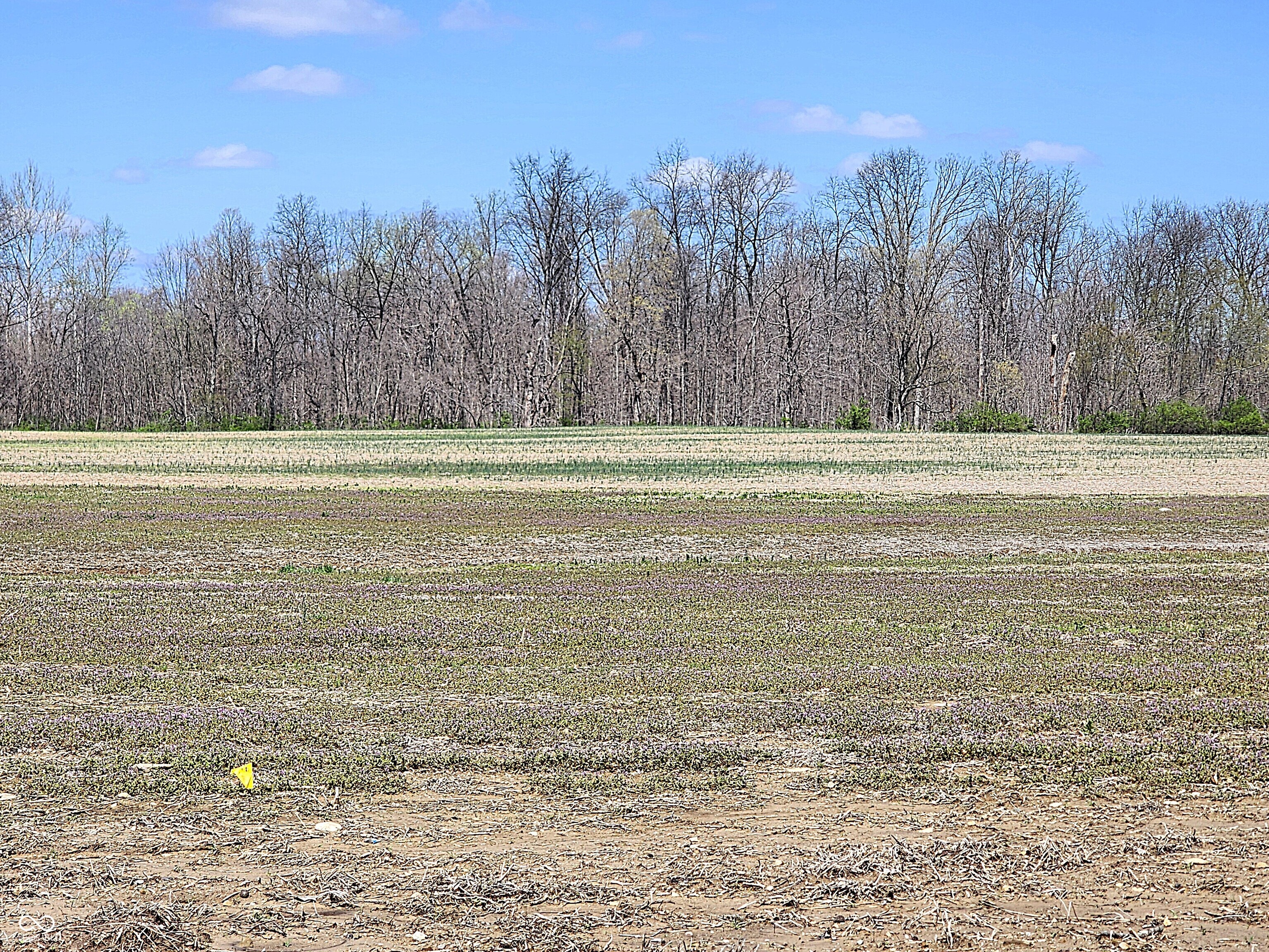 Lot 2 Legacy Estates Road Mooresville, IN 46158 - Photo 11 of 14