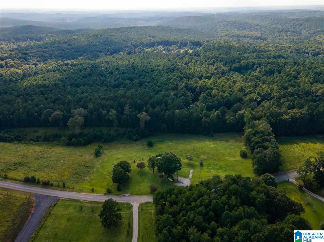12376 Bama Rock Garden Road Vance, AL 35490 - Photo 12 of 44
