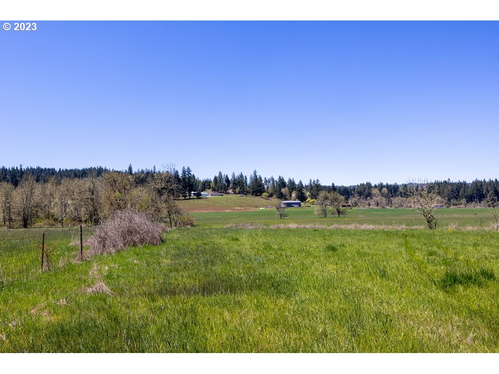 33125 Tate Road Creswell, OR 97426 - Photo 41 of 46 a view of lake and mountain
