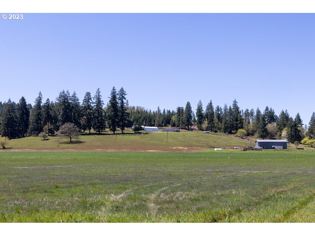 33125 Tate Road Creswell, OR 97426 - Photo 42 of 46 a view of a grassy field with trees in the background