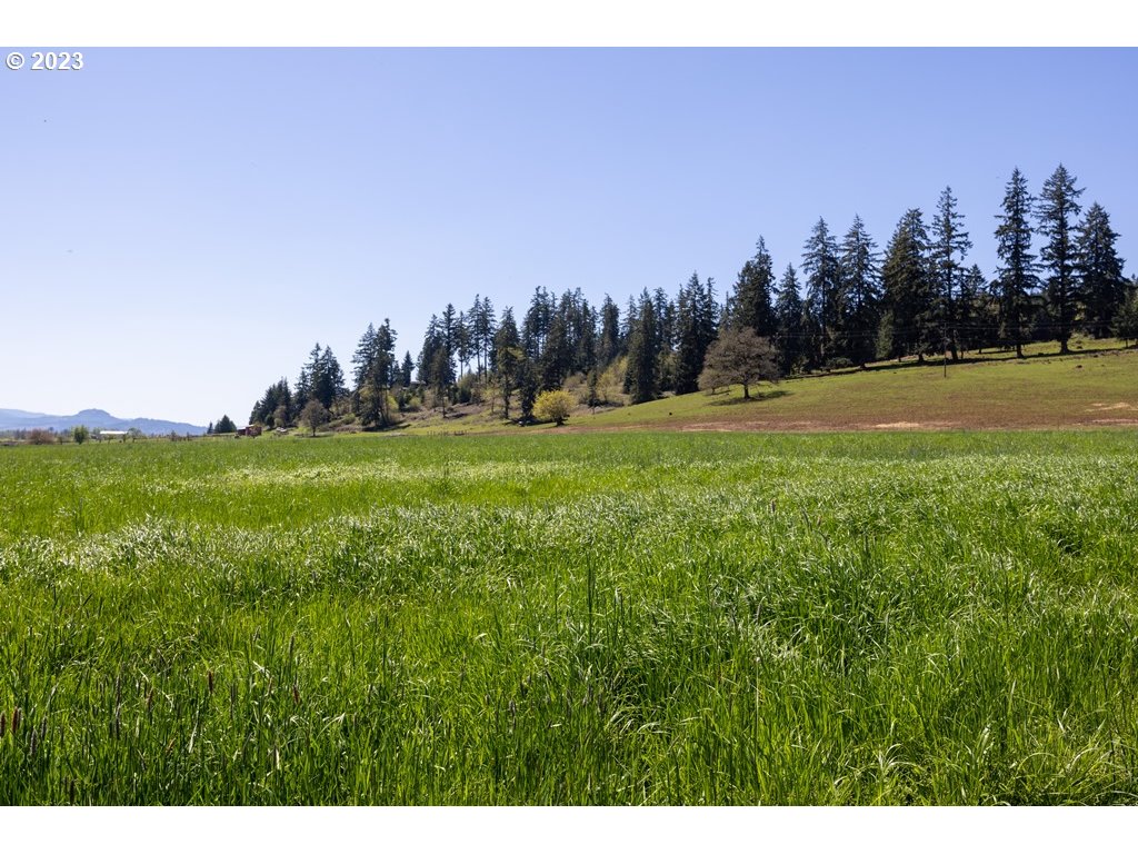 33125 Tate Road Creswell, OR 97426 - Photo 9 of 46 a view of a city
