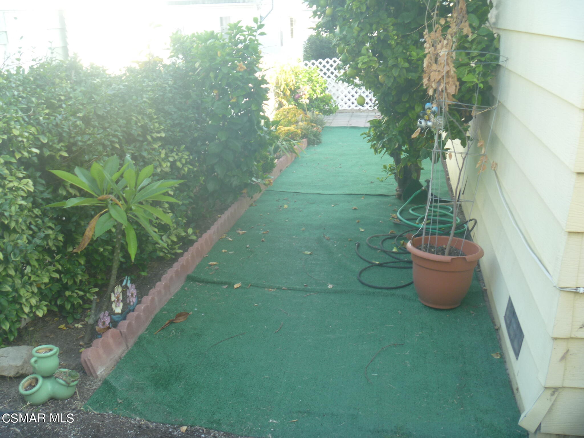 250 East Telegraph Road, Unit 257 Fillmore, CA 93015 - Photo 19 of 23 P1080120