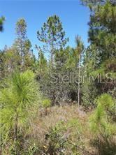 Salyers Road Clermont, FL 34714 - Photo 1 of 6 Gallery Image 1