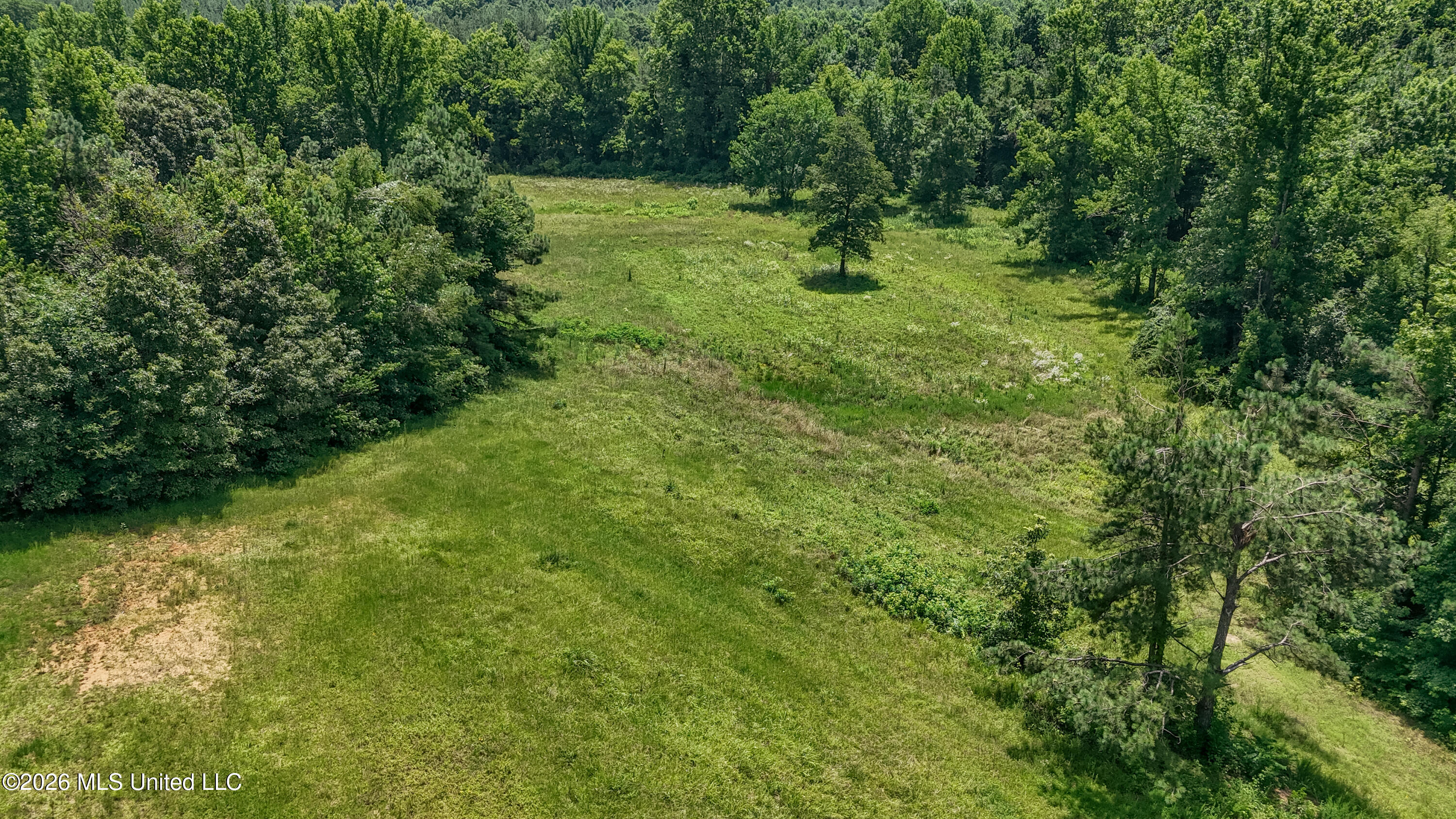 828 Little Egypt Road Ashland, MS 38603 - Photo 79 of 101 DJI_20260630121130_0358_D